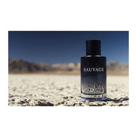 sauvage dior fiyat